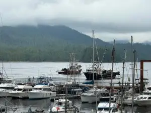 Boats moored at Skyline Marina harbour near Richmond BC
